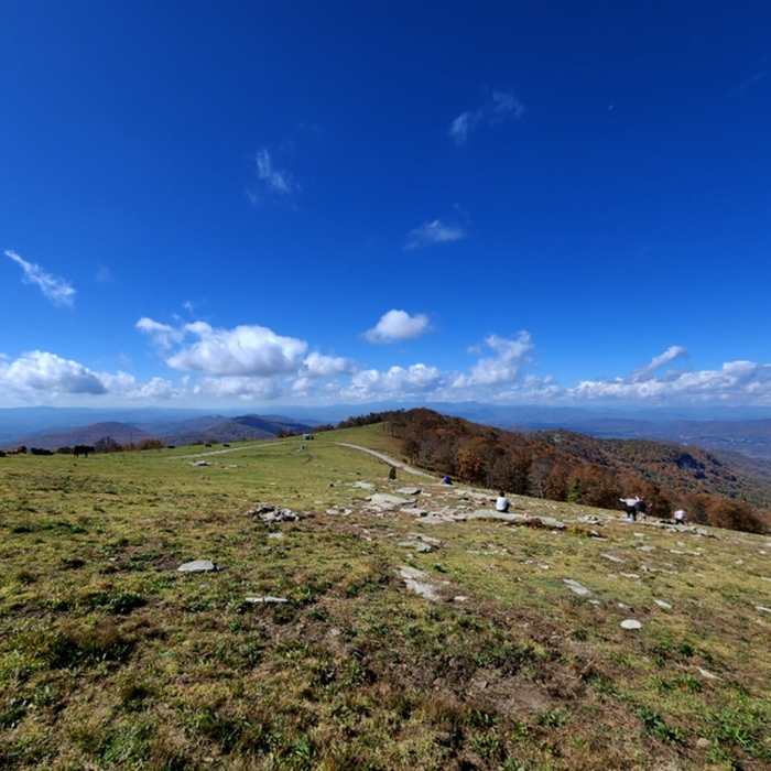 Looking west from the top of Bearwallow Mountain. Near Bearwallow Mountain Loop