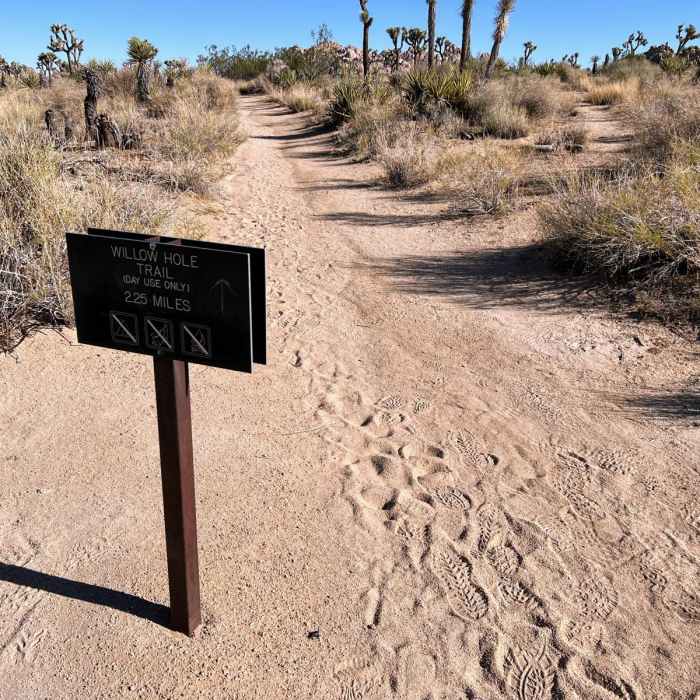 Near Indian Cove to Willow Hole