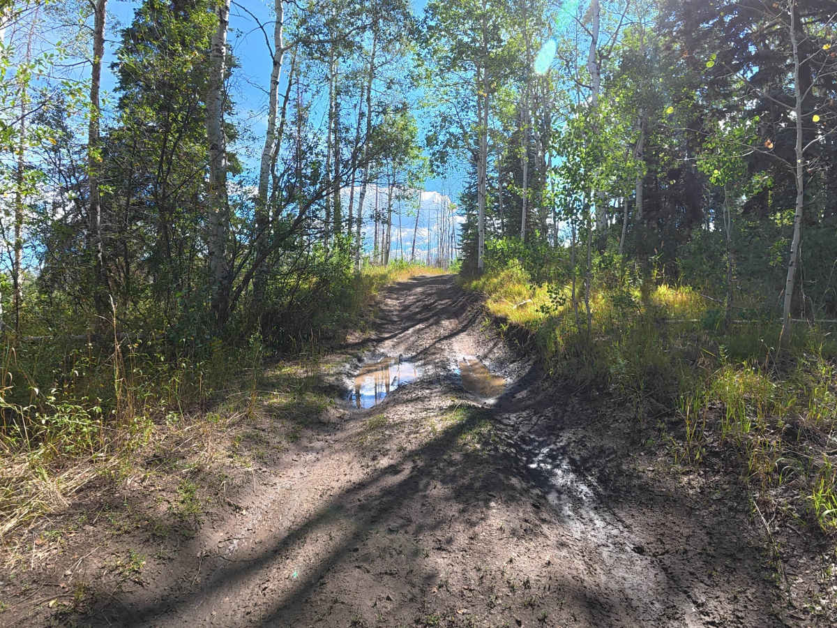 Sterry Lake Road - FS 240 photo 5