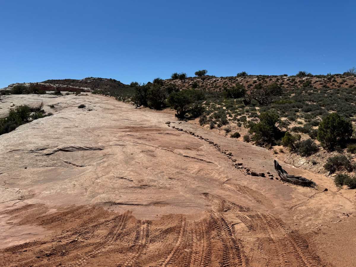 Dome Plateau Trail trail photo