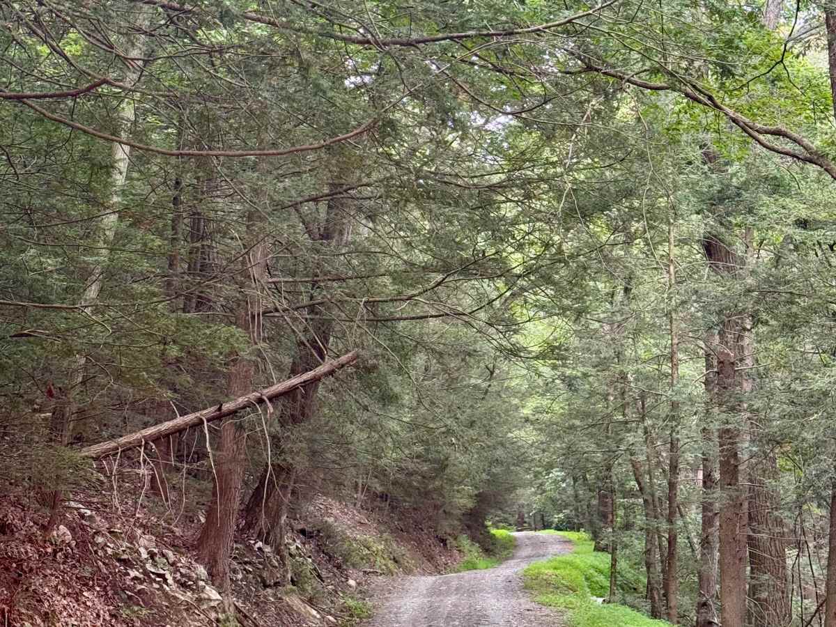 Pennsylvania Furnace Road photo 6