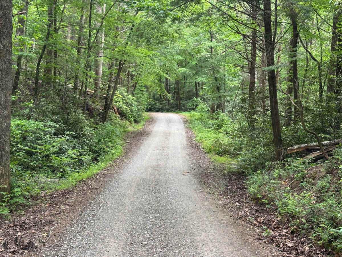 Joe Brown Highway photo 5