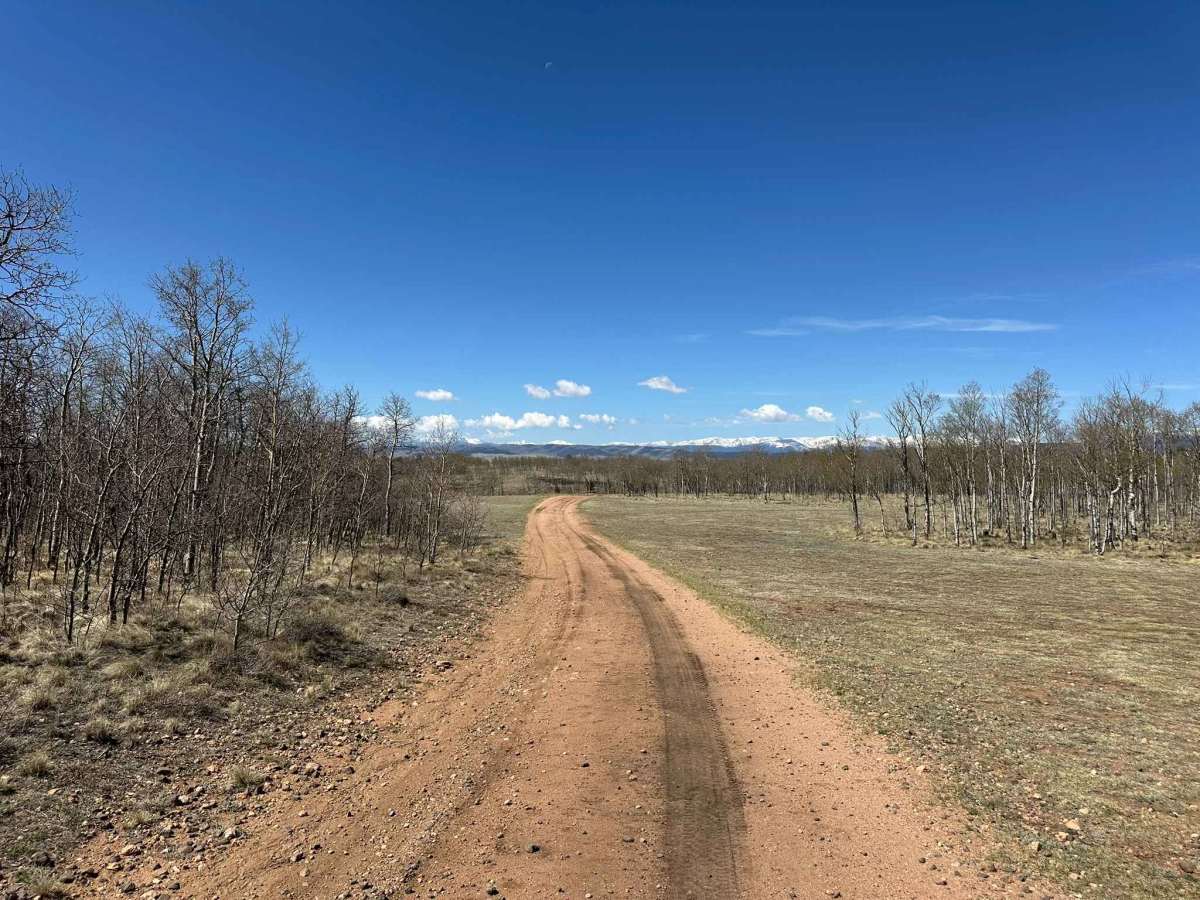 Pearl Road photo 4