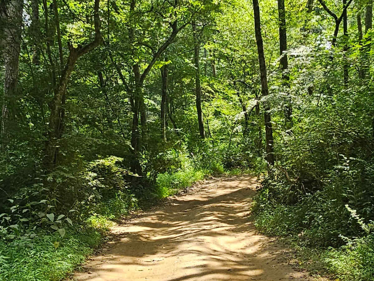 Trail 26 photo 5