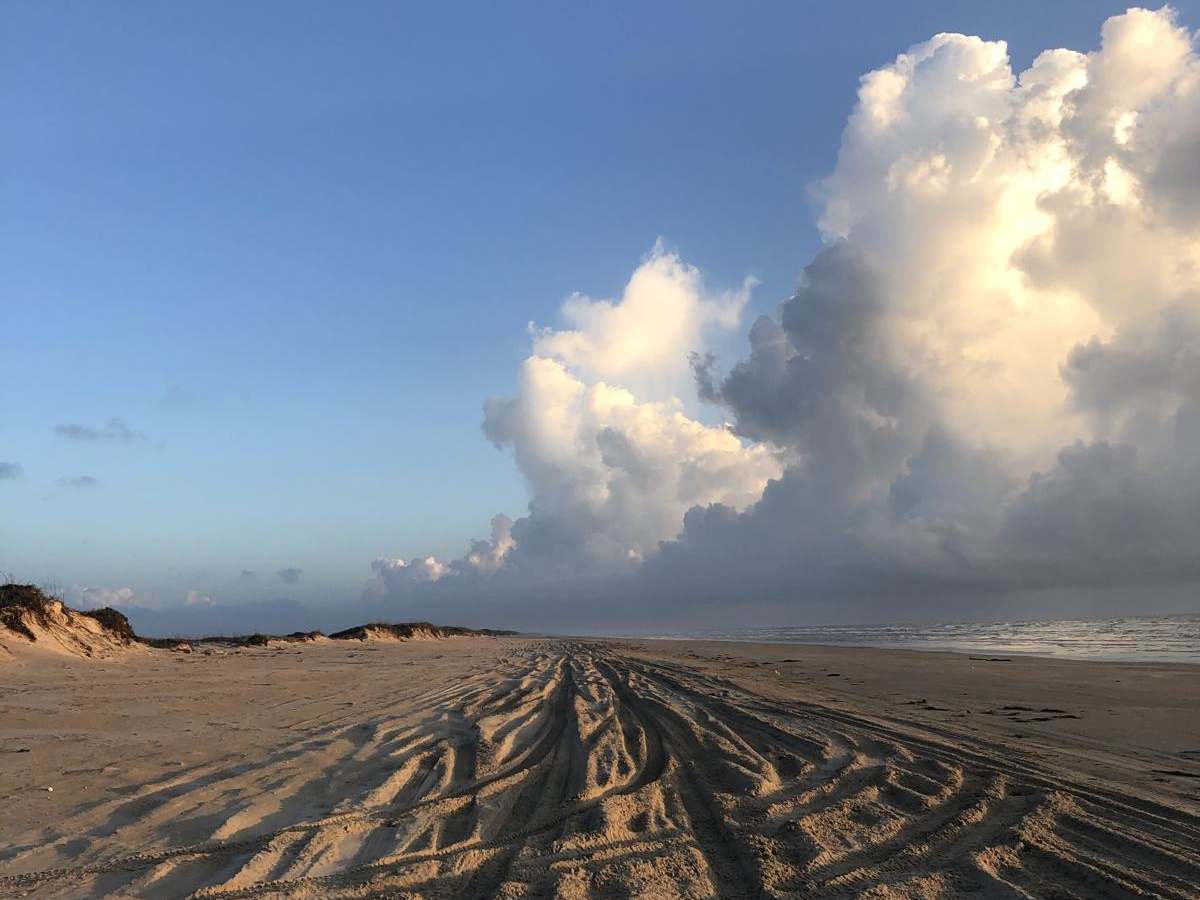Padre Island National Seashore photo 3