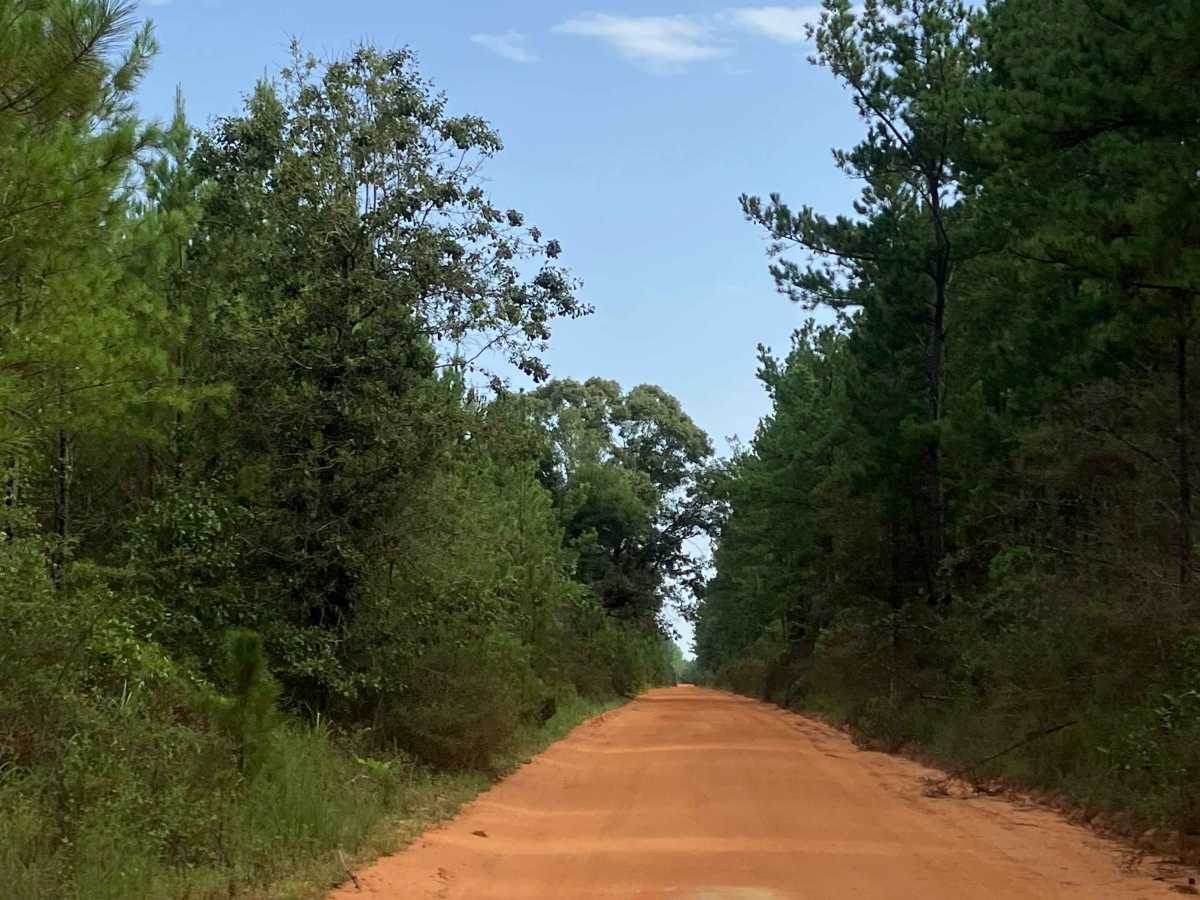 Paul Barnes Road photo 3