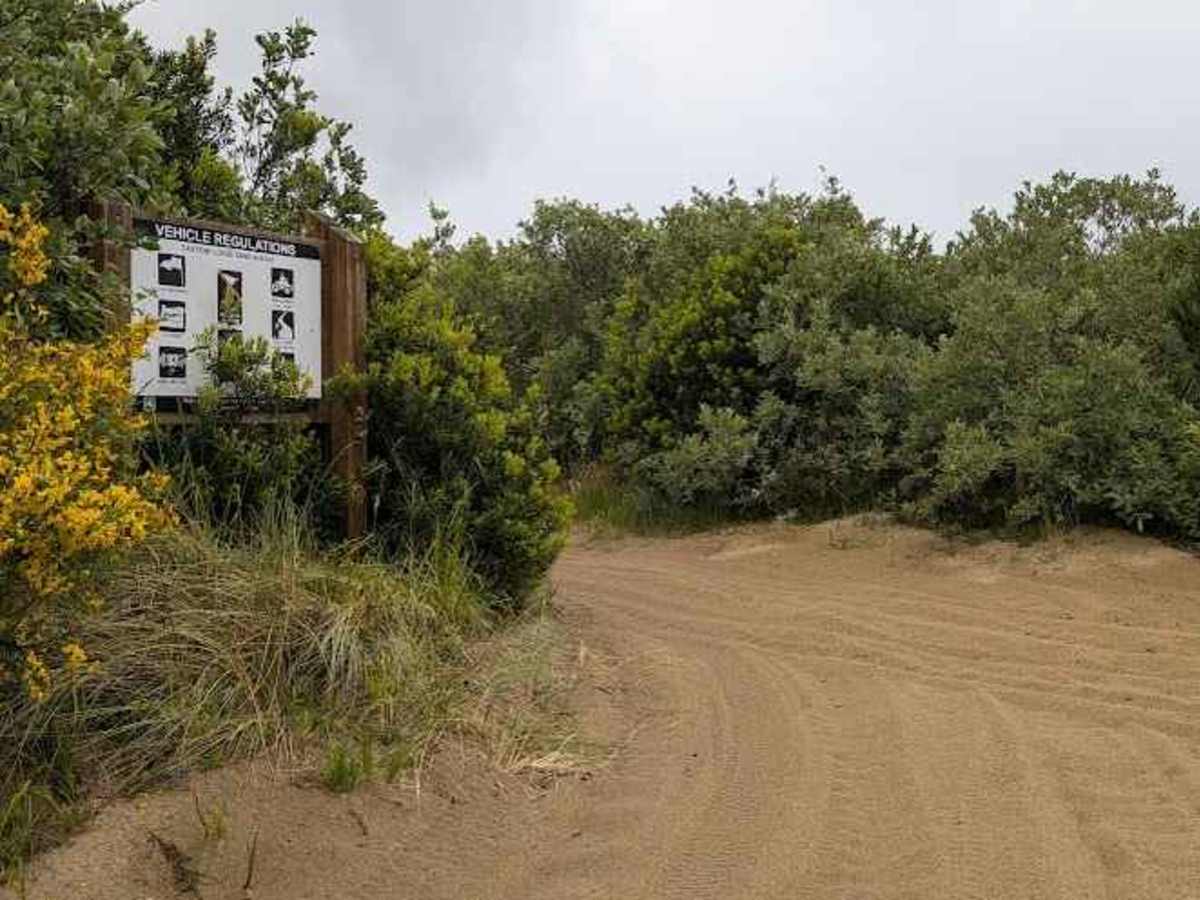 South Jetty Sand Road photo 4