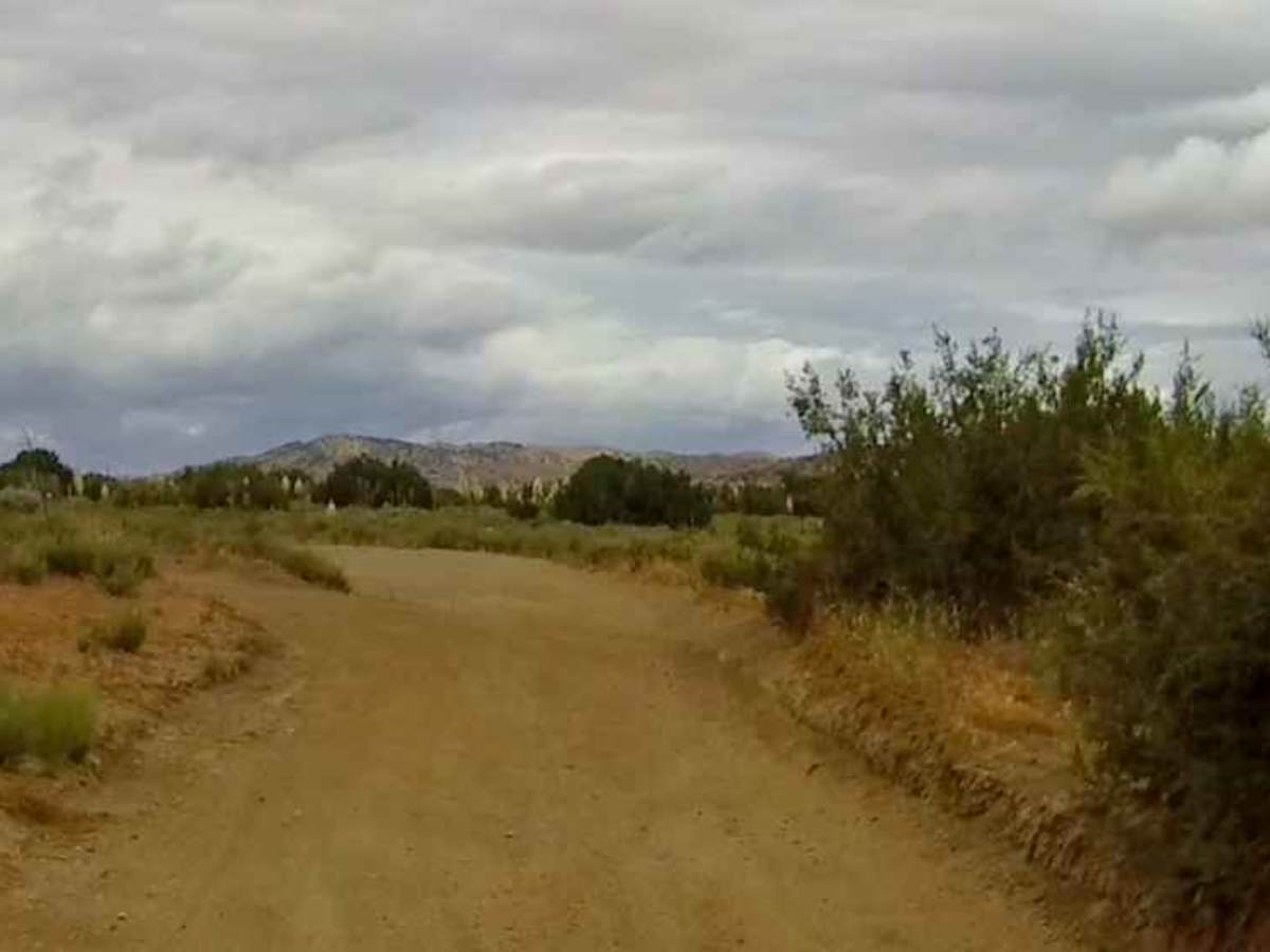 Jack Rabbit Trail photo 3