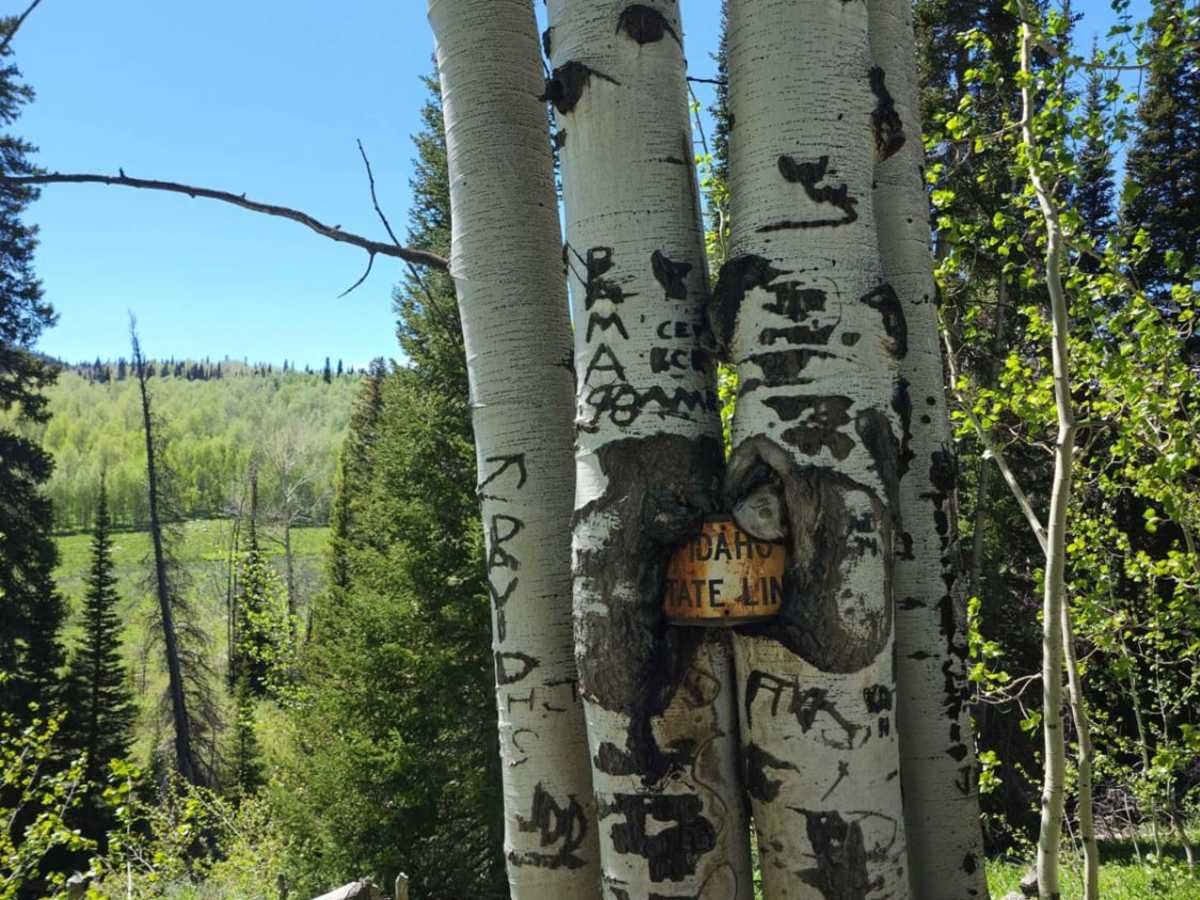 Franklin Basin Idaho Section photo 4