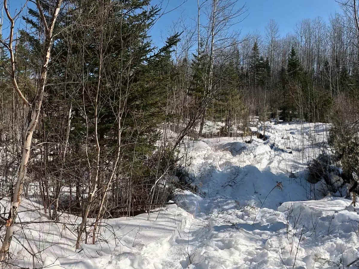 Upper Stone Ridge Backend Pit photo 4