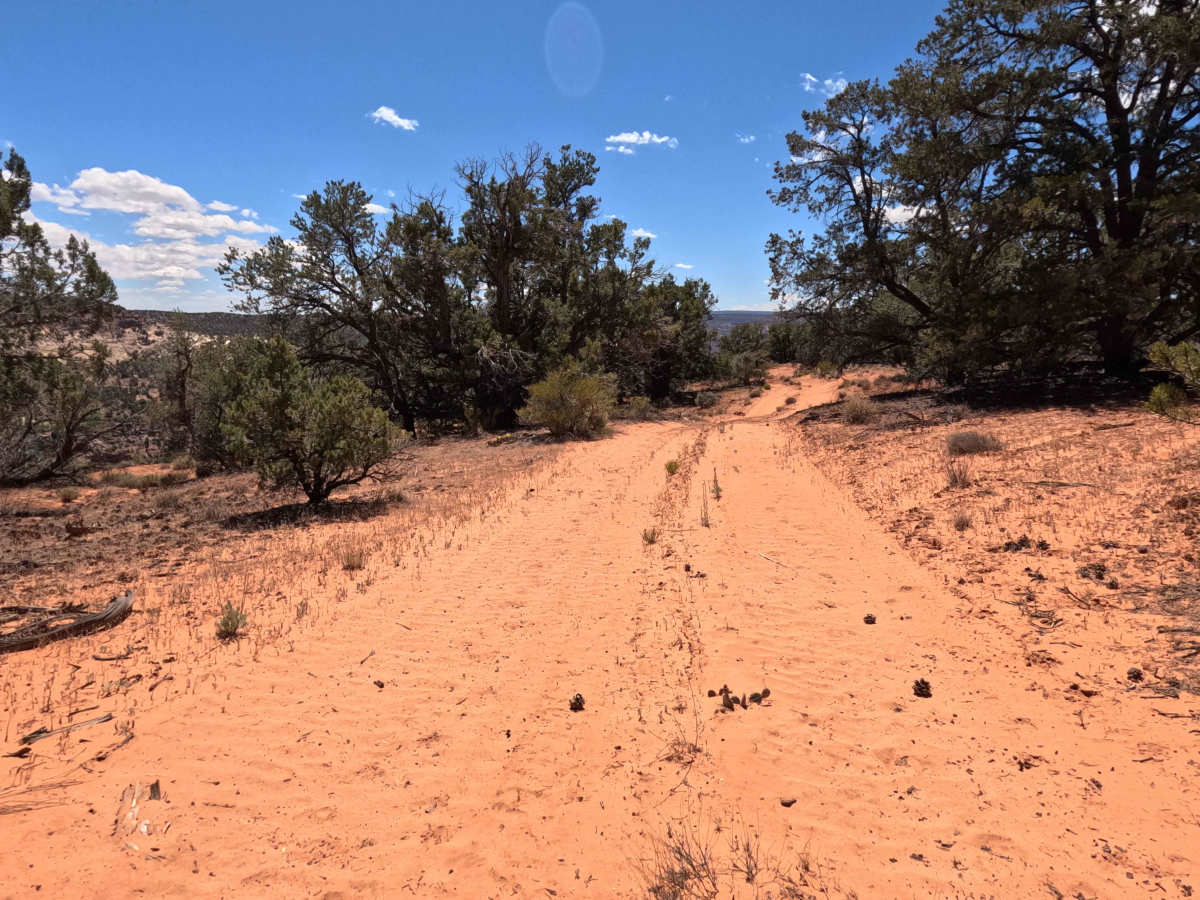 BLM 101N photo 5
