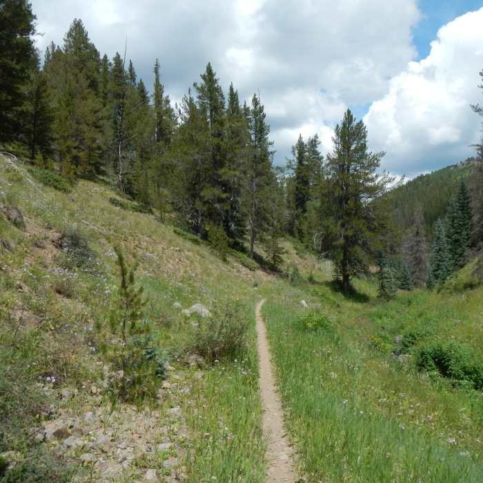 Near Tank Seven Creek Trail #480