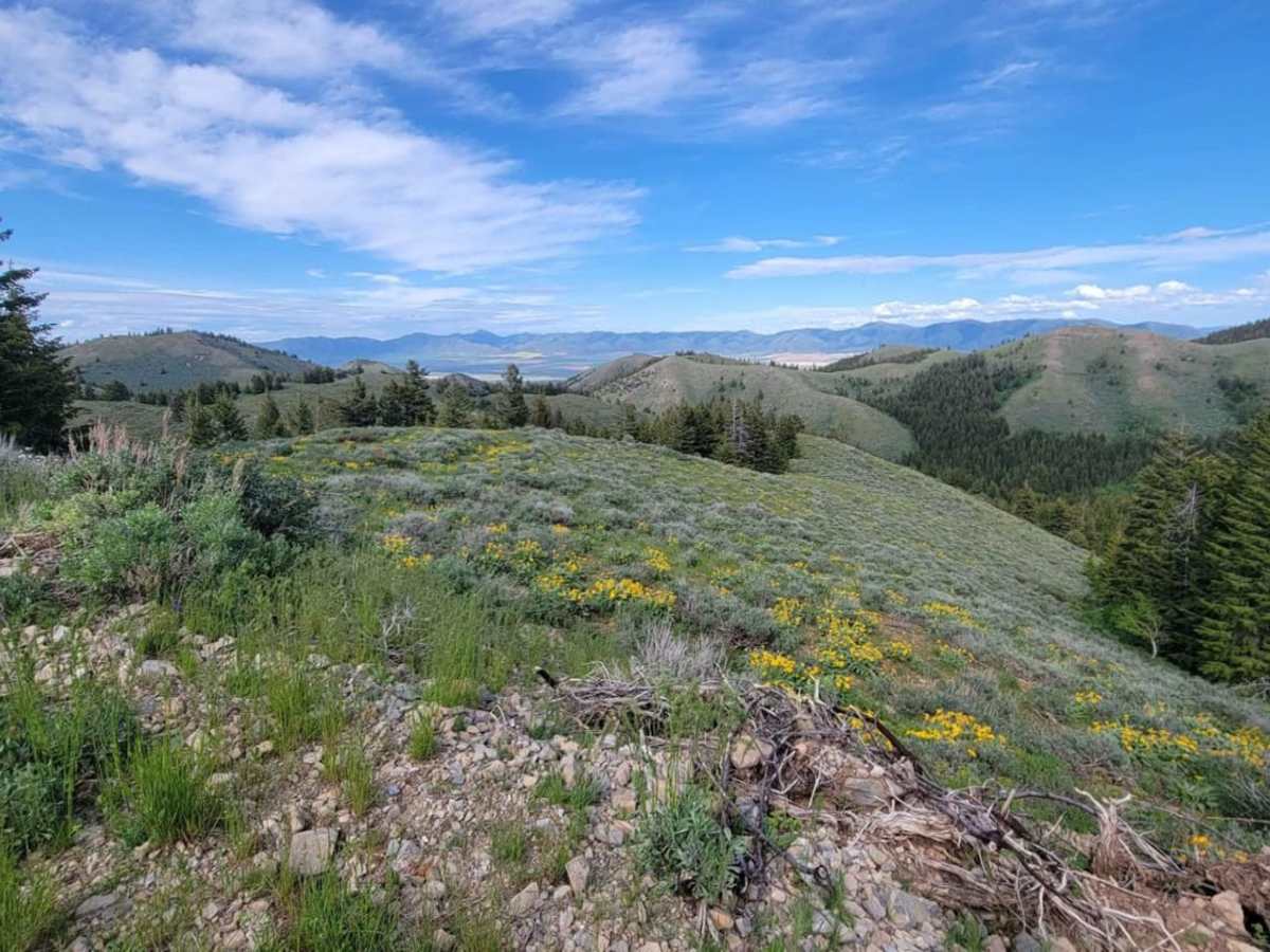 Sheep Canyon 2 photo 3