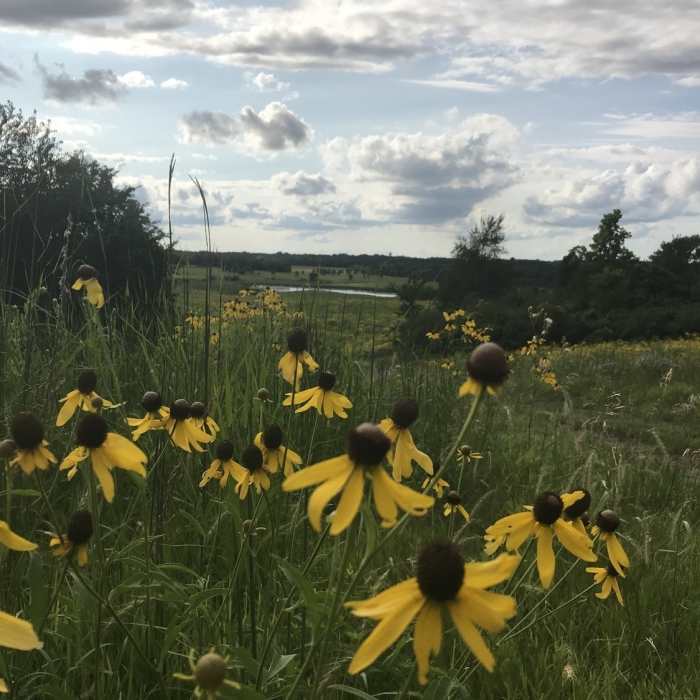 Crow-Hasson Near Crow Hassan Loop