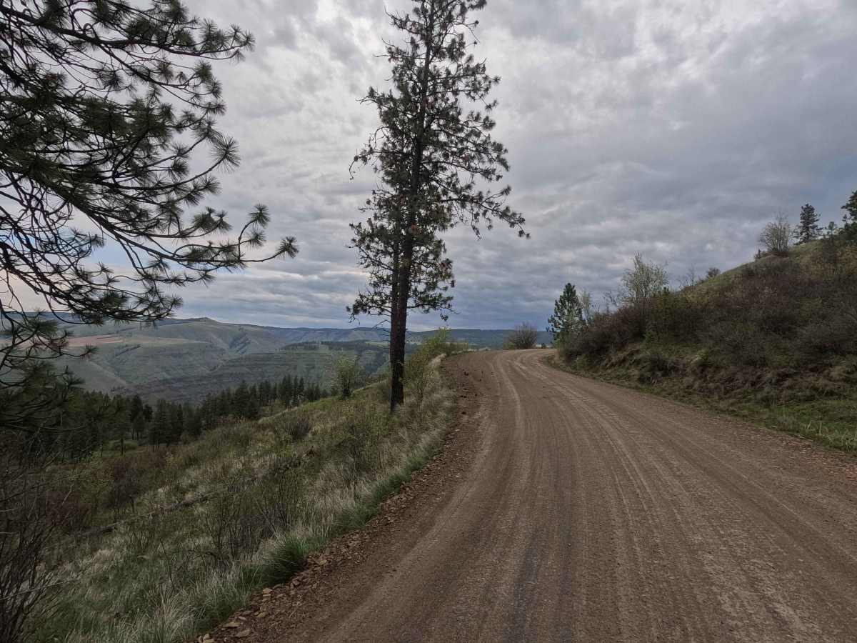 Eden Lane - FS 6212 photo 4