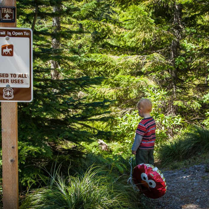 Near Whetstone Mountain Hike