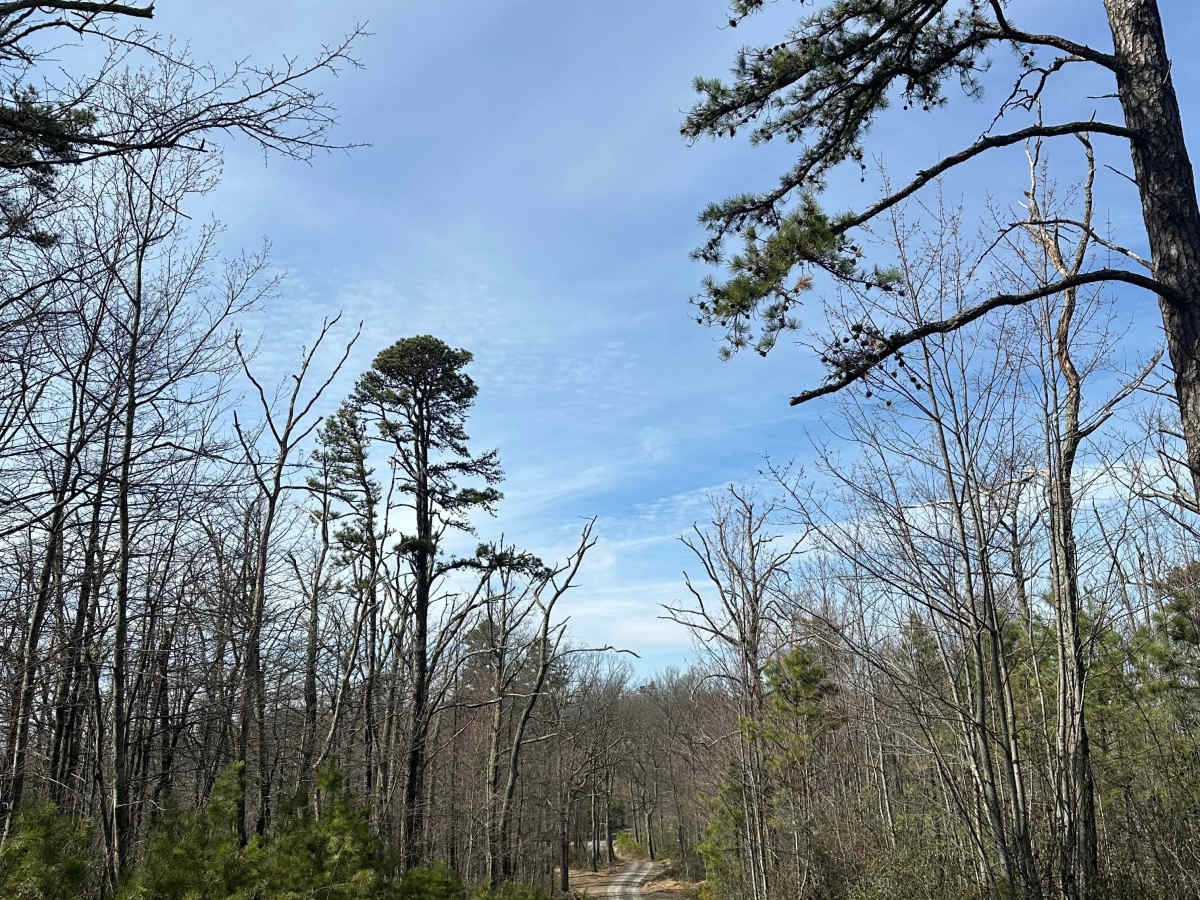 Middle Ridge Road  photo 6