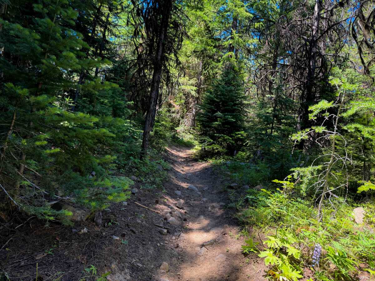 South Fork Manastash - FS 1386.1  photo 3