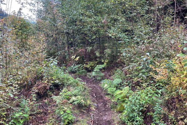 Trials Zone Access