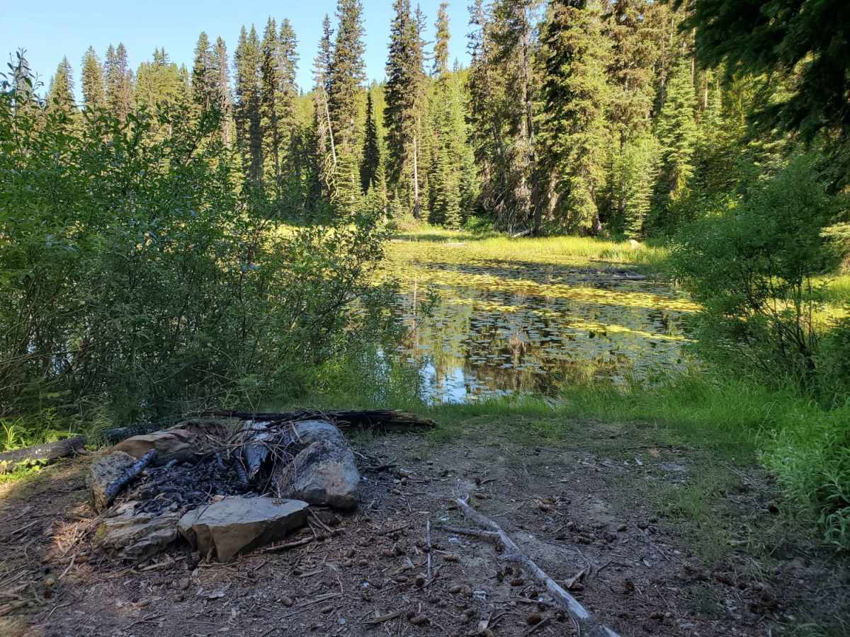 Mission Divide/Crane Mtn Road trail photo