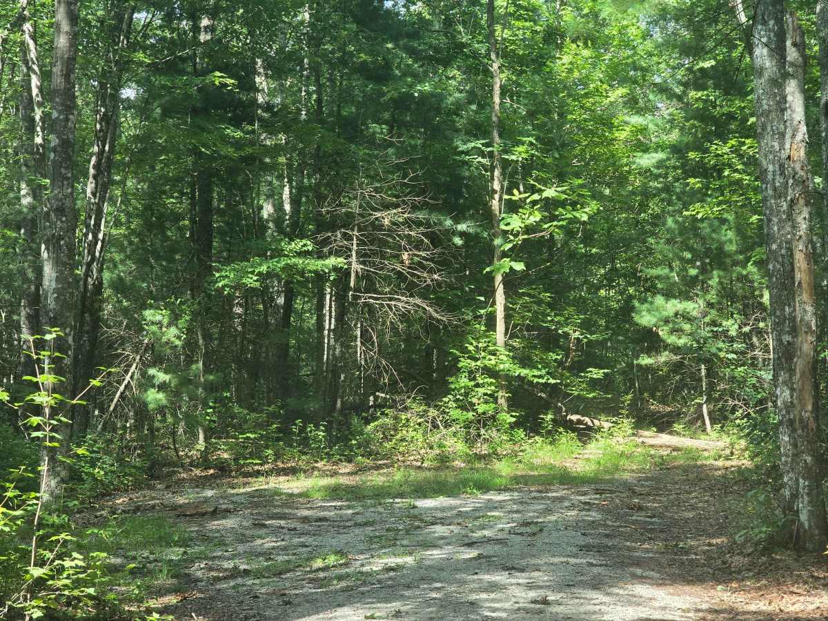 Ridge Road photo 5
