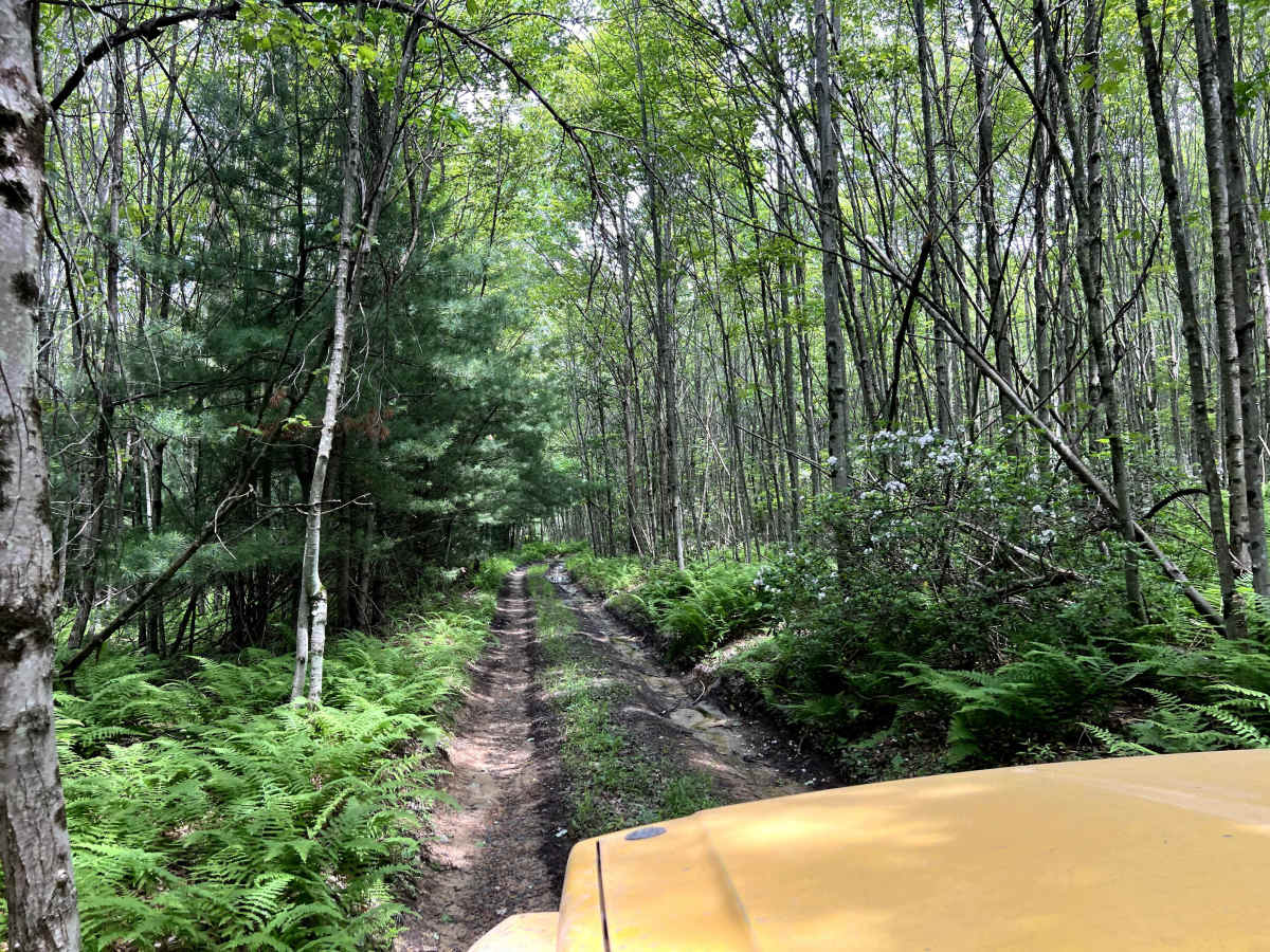 Smith's Run Trail photo 4