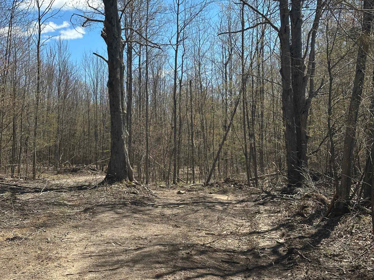 Storm Loop photo 3