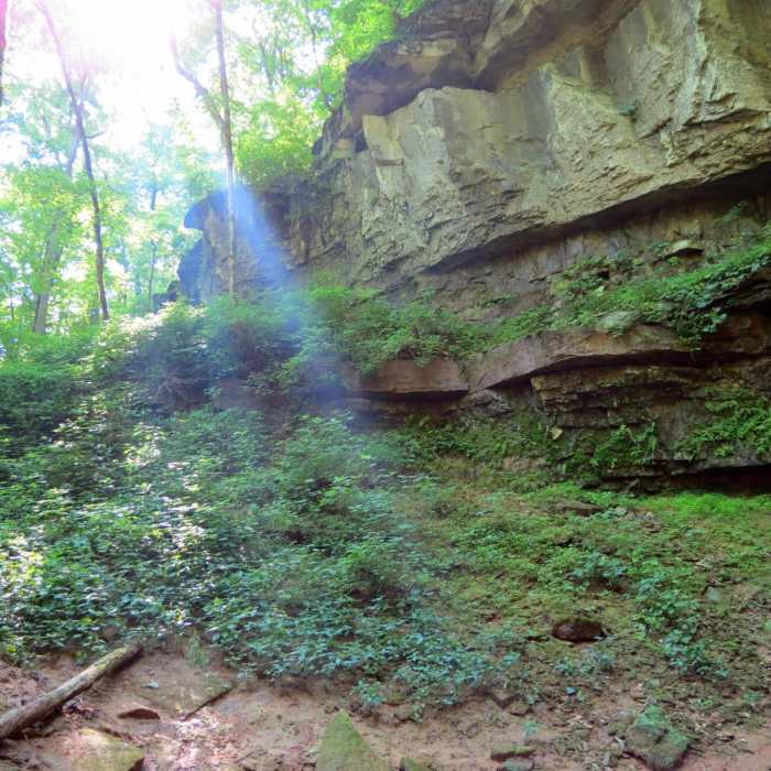 Near Cedar Sink Trail Near Cedar Sink Trail