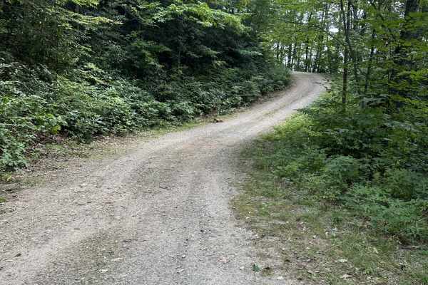 Cold Spring Gap Road