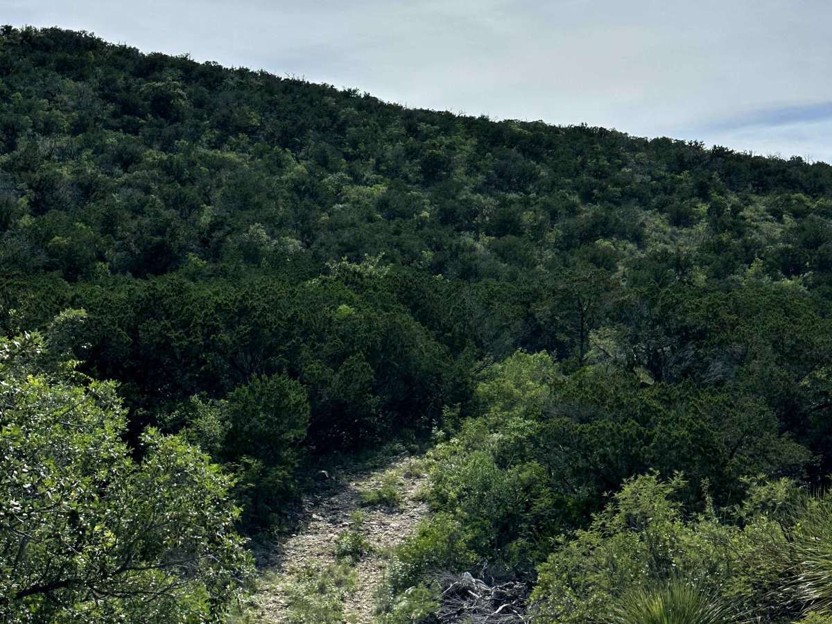 CATPAW Canyon trail photo