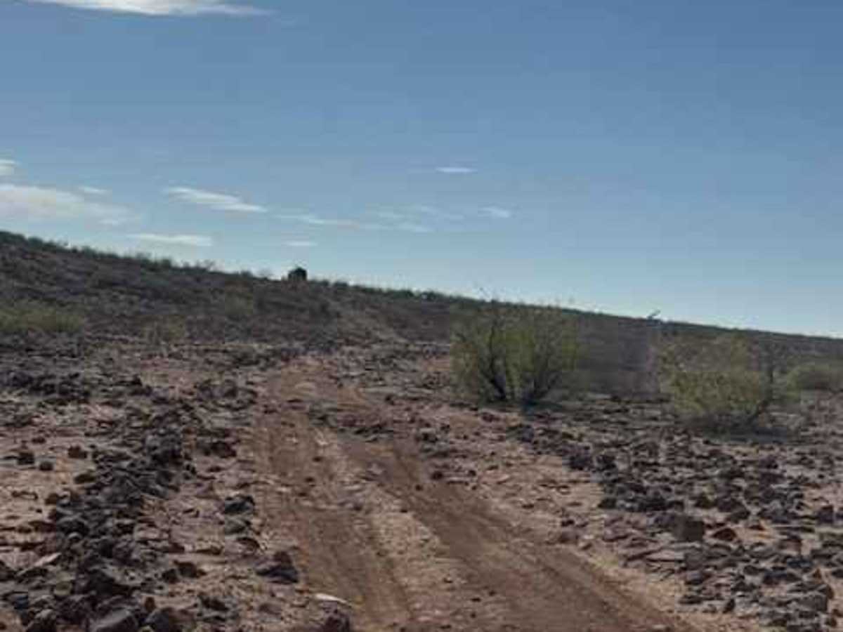 BLM PE1221 photo 2