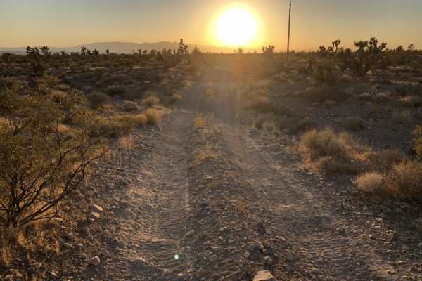 Potosi Pass Road