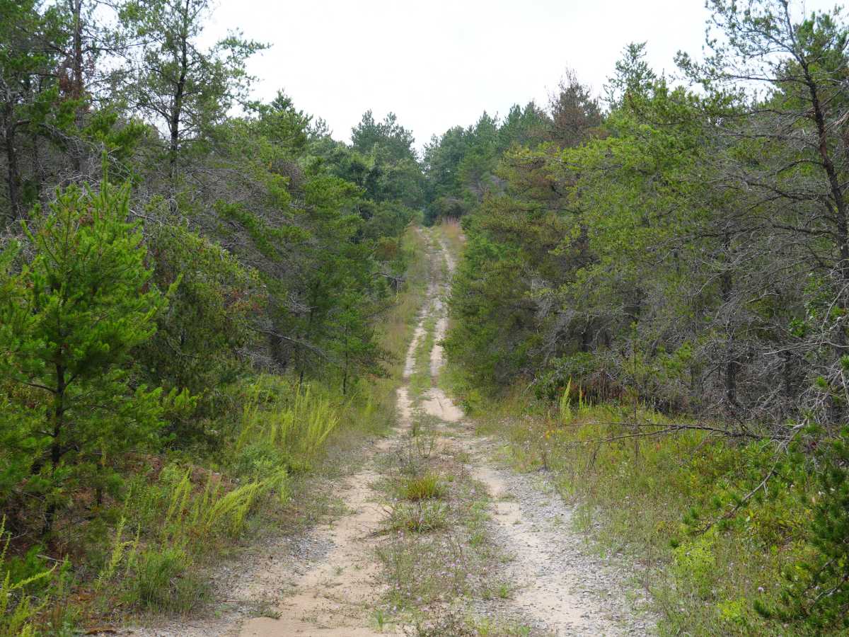 North Twin Tomahawk Trail photo 3
