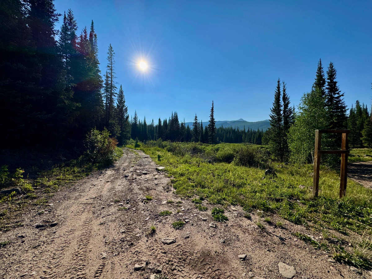 Dome Creek Road - FS 911 trail photo