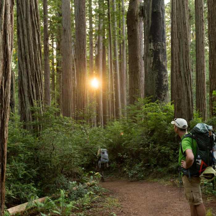 Near Miner's Ridge Trail, Prairie Creek to Gold Bluffs Beach