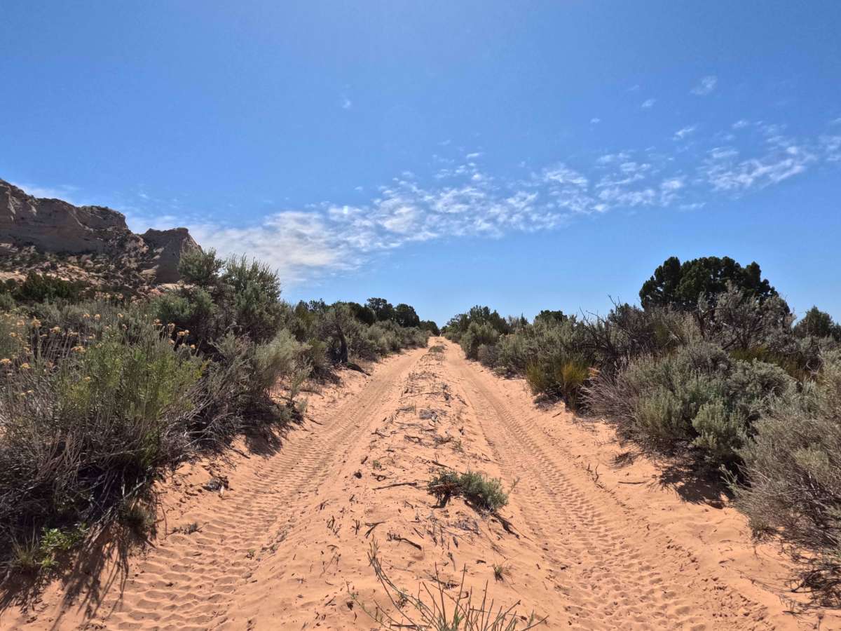 BLM 106E photo 6