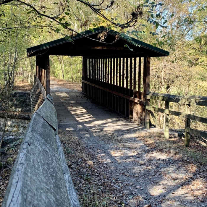 Near Richard Martin Trail NRT