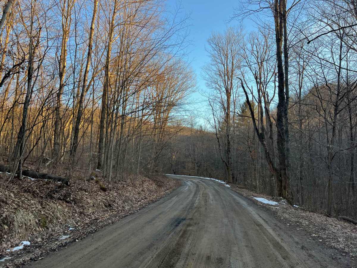 Tyler Road photo 2
