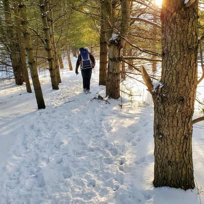 Near Marble Rock Loop