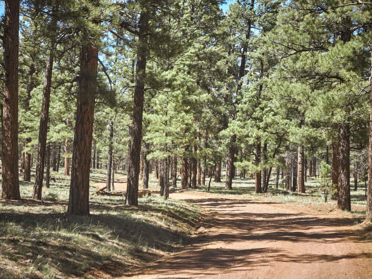 Russell Tank Road photo 6