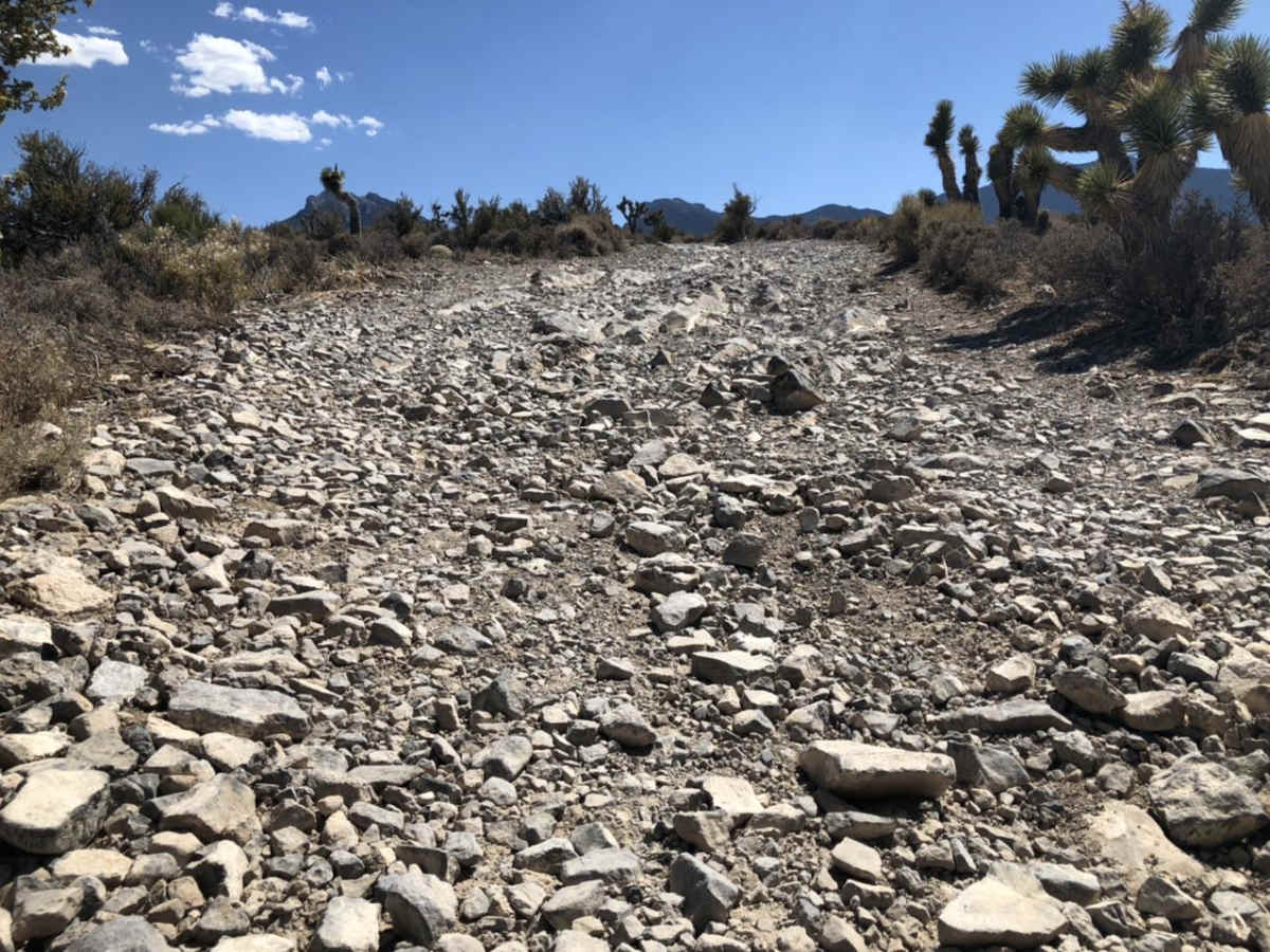 Mud Springs Road photo 4