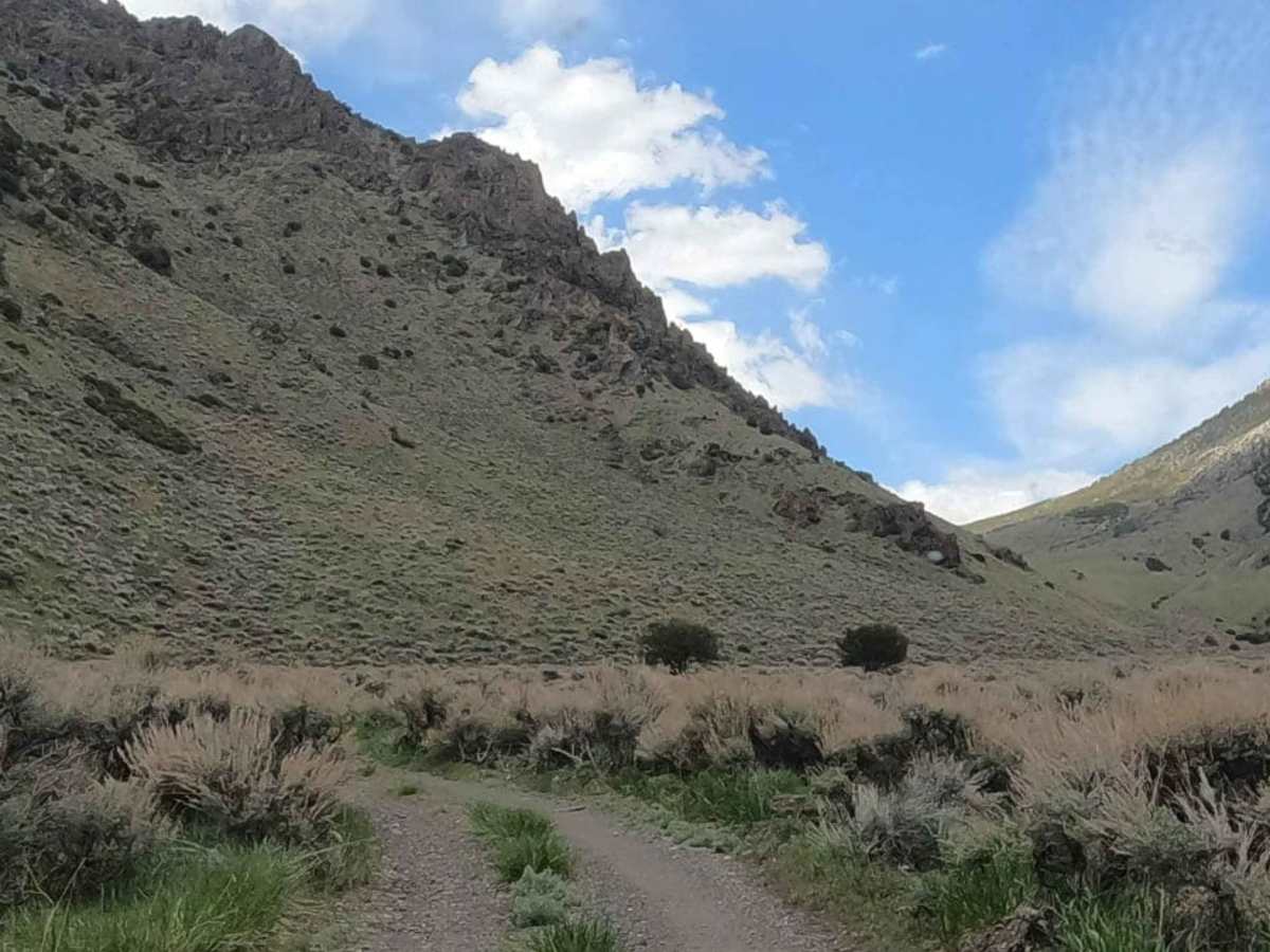 North Fork Big Creek Road - NF43012 photo 3