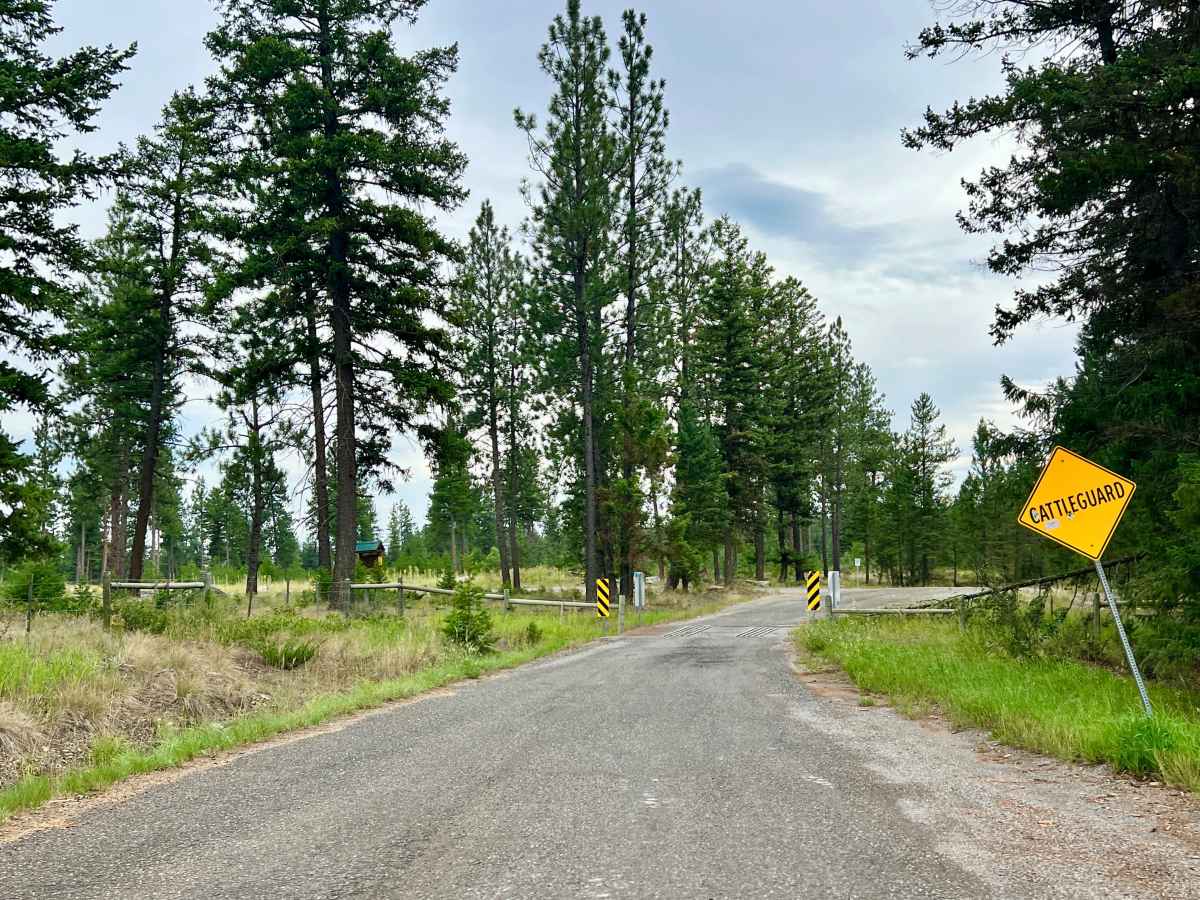 Dorr Cut-off Road trail photo
