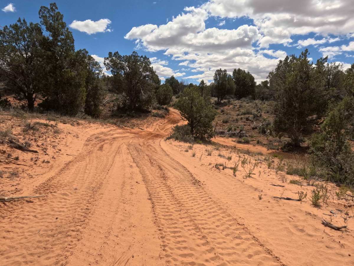 BLM 101 trail photo