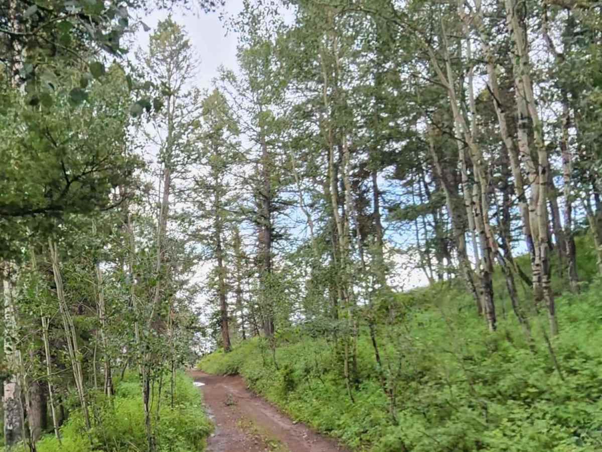 Deep Gulch Road photo 6