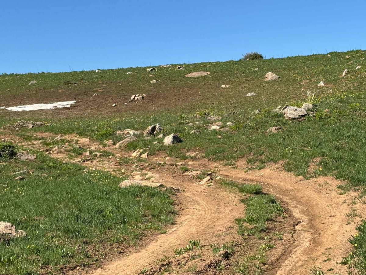 Cow Lake Road photo 2