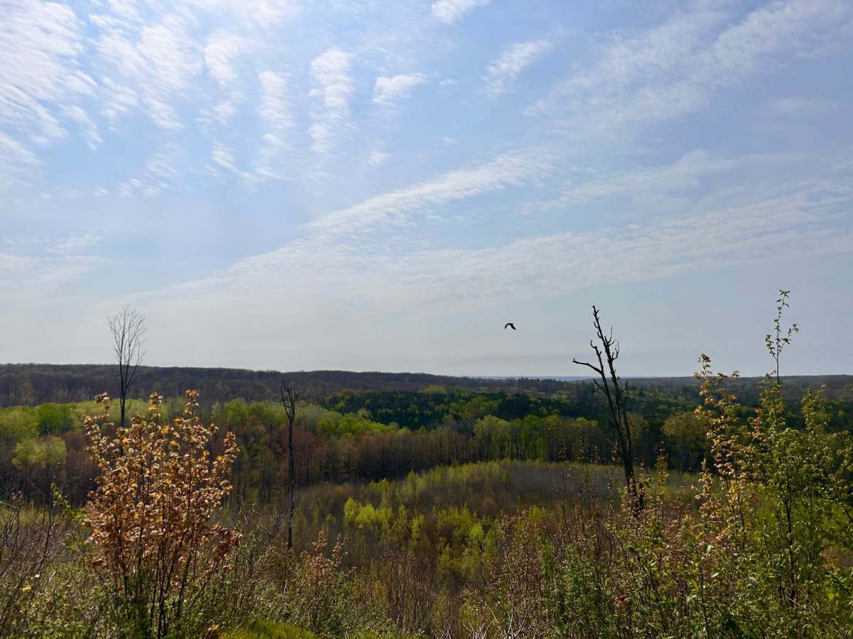 Evart Overlook photo 2