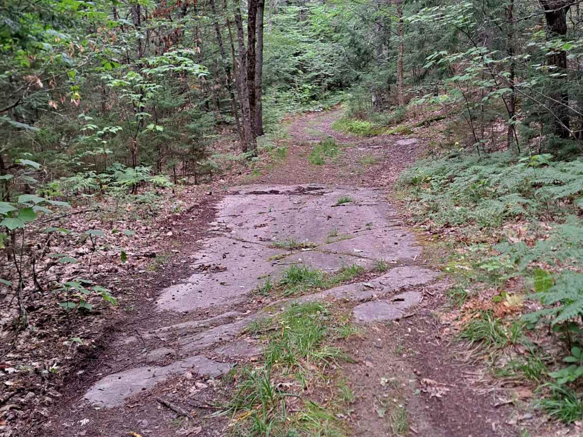 Grantham Mountain Road photo 6