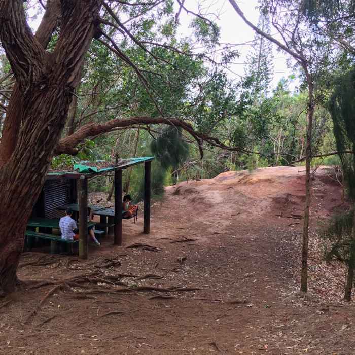 Near Kuli'ou'ou Ridge Near Kuli'ou'ou Ridge