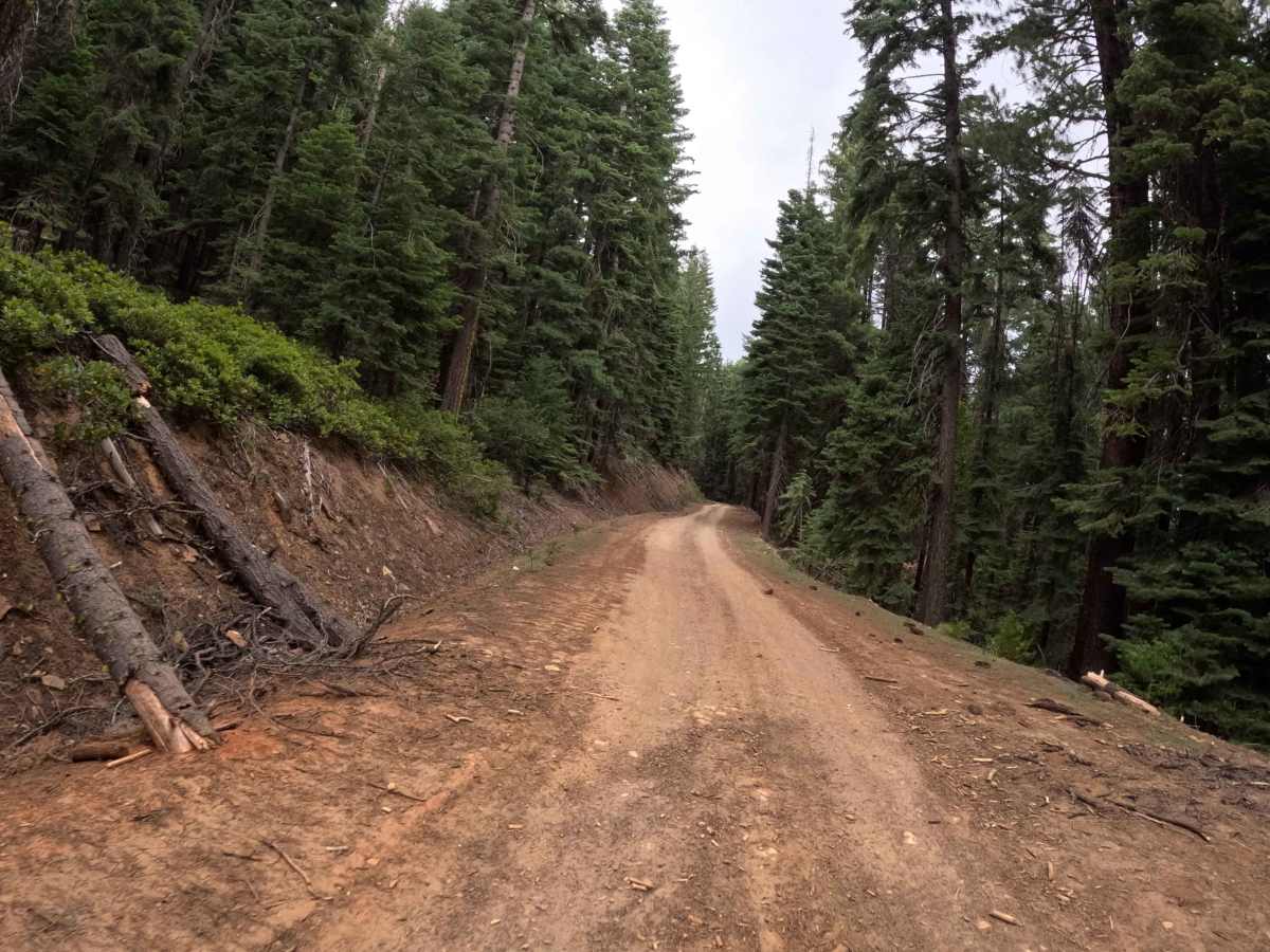 Chapman Calpine - FS 52 trail photo